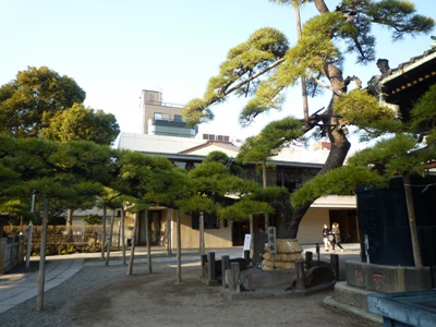e0194987_152534.jpg