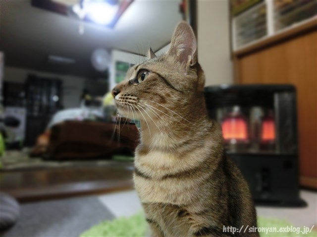 a0159490_14134159.jpg