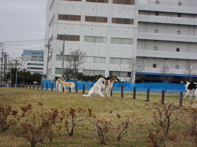 d0098295_2212195.jpg