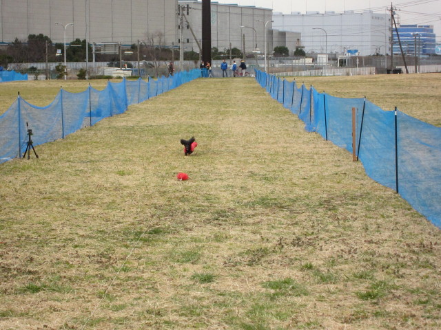 d0098295_22314123.jpg
