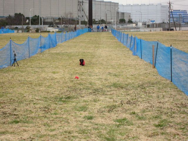 d0098295_2231505.jpg