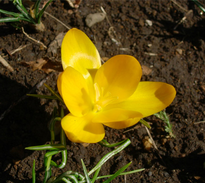 d0129295_1643594.jpg