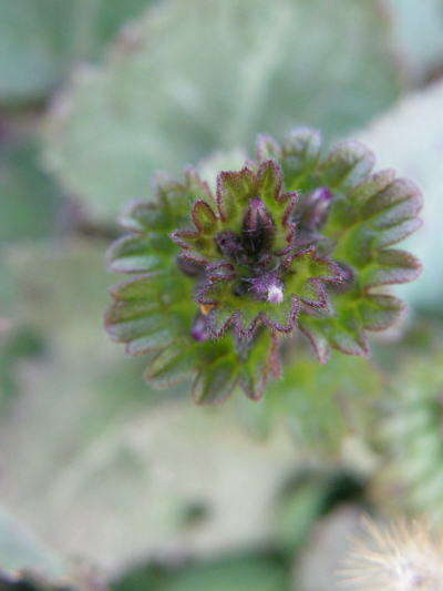 e0017396_2145737.jpg