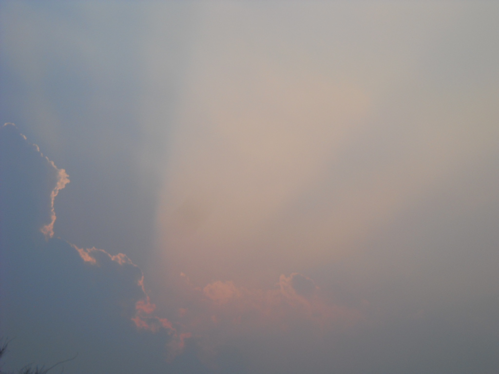 f0146802_231468.jpg