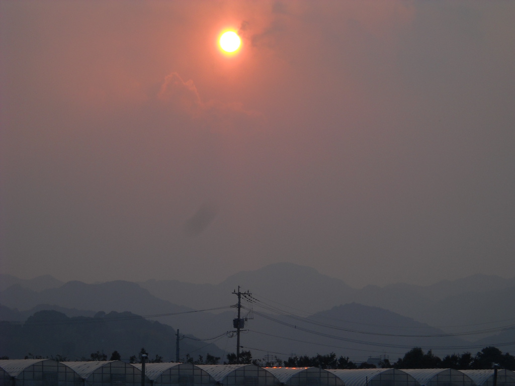 f0146802_23572841.jpg