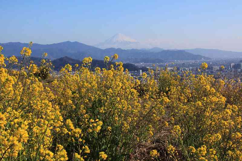 a0188405_1462115.jpg