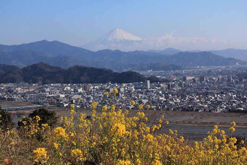 a0188405_147374.jpg