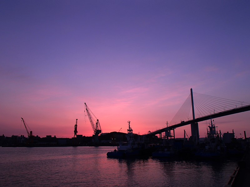 a0097006_0584865.jpg