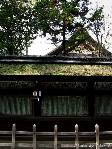 a0154706_17583451.jpg