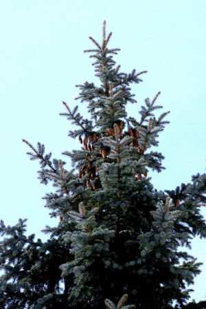 f0041606_1912396.jpg