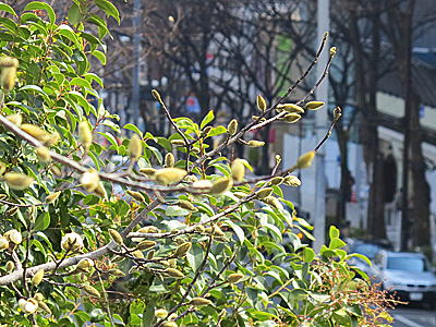 b0069507_732273.jpg