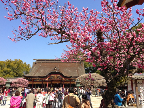 c0114110_15512763.jpg