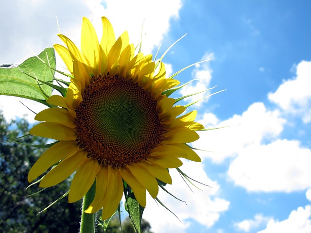 c0289013_14152126.jpg