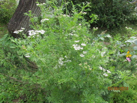 b0132619_9181439.jpg