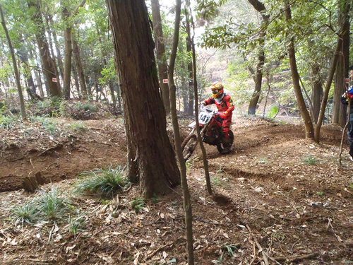 c0223419_2032369.jpg
