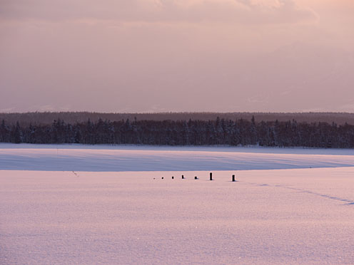 e0025030_201413.jpg