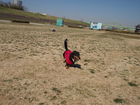 c0117831_2020172.jpg