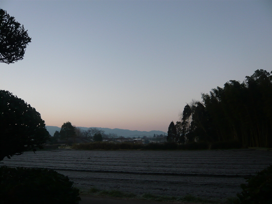 a0206332_8271175.jpg