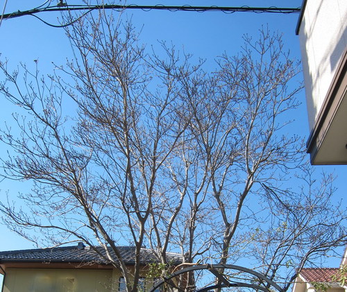 b0178339_18423962.jpg