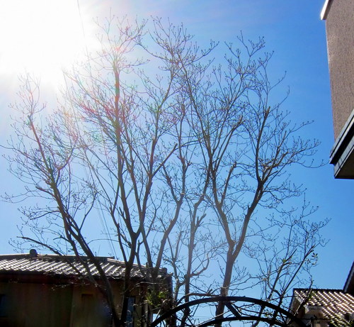 b0178339_18425493.jpg