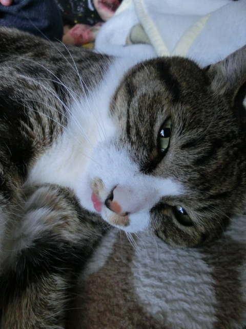 c0194042_16555598.jpg