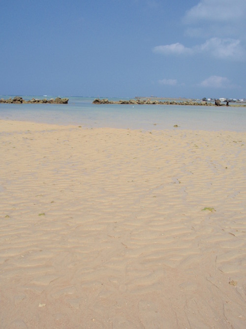 d0151144_15504097.jpg