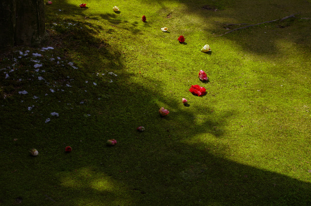 d0186245_13472788.jpg