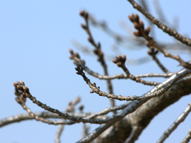 b0289649_20284640.jpg
