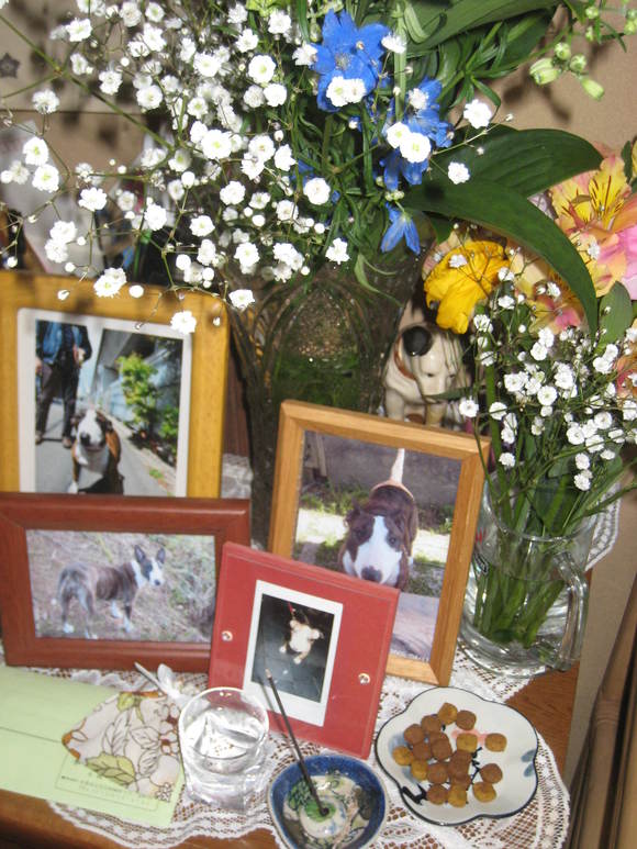 c0073152_15425994.jpg