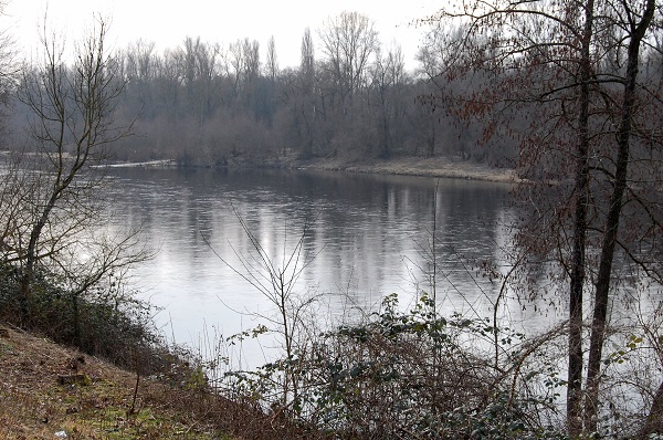 f0097363_21452175.jpg