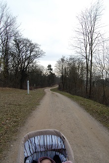 f0097363_21501468.jpg