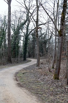 f0097363_21504128.jpg