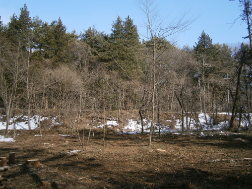 a0240971_3324126.jpg