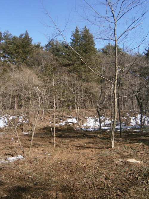 a0240971_345149.jpg