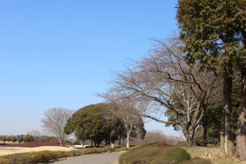 e0114977_1855599.jpg