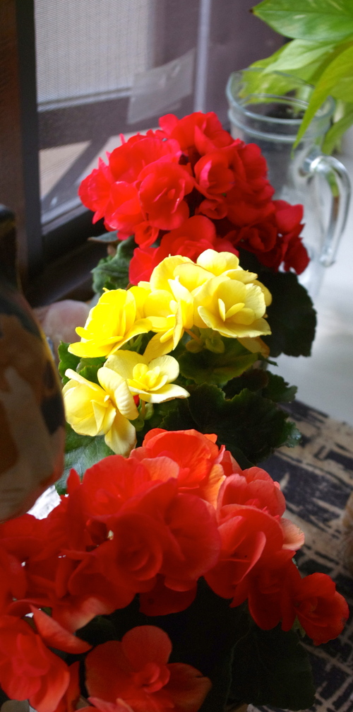 f0054677_822119.jpg