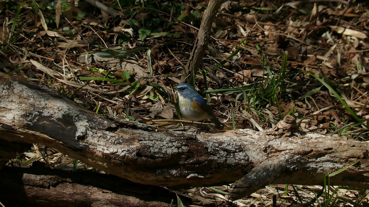 a0185081_17592256.jpg