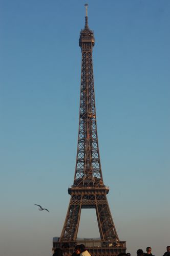 e0133096_91767.jpg