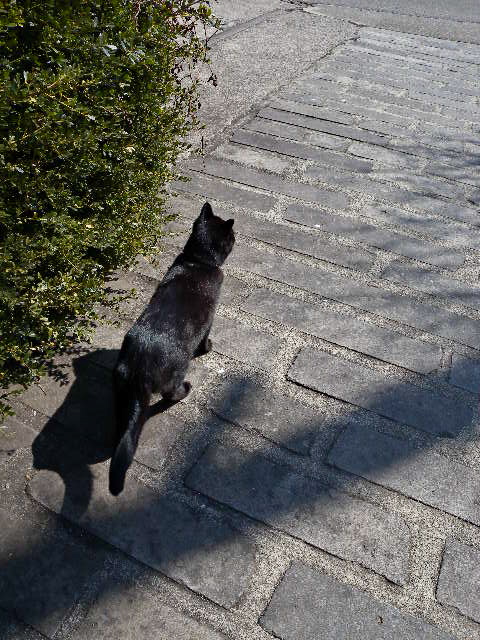 a0199297_18385250.jpg