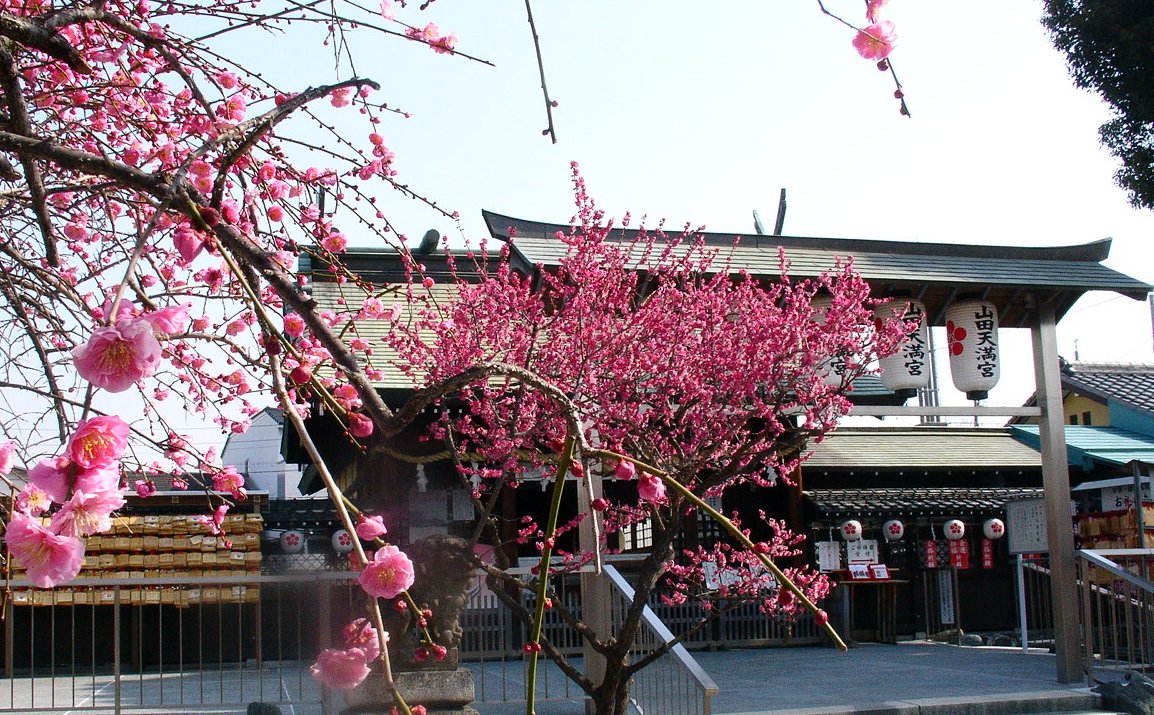 a0031000_15224979.jpg