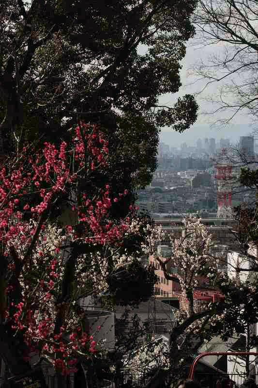 f0083400_21521569.jpg