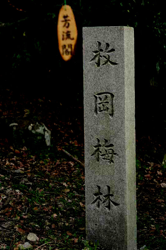 f0083400_2155647.jpg