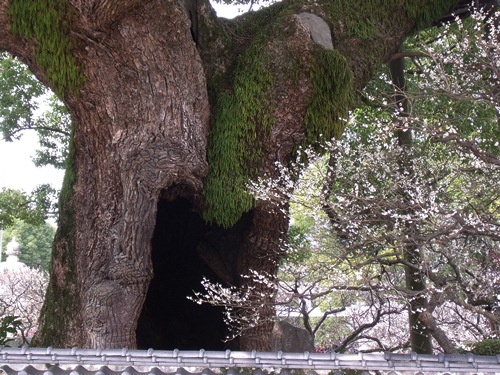 c0017802_22562946.jpg