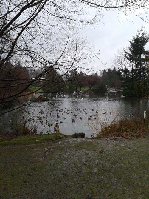 e0247410_1249512.jpg