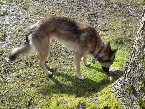e0247410_130057.jpg