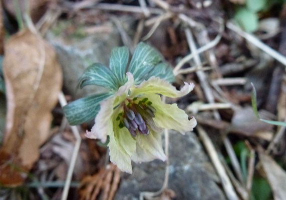c0042418_18151166.jpg