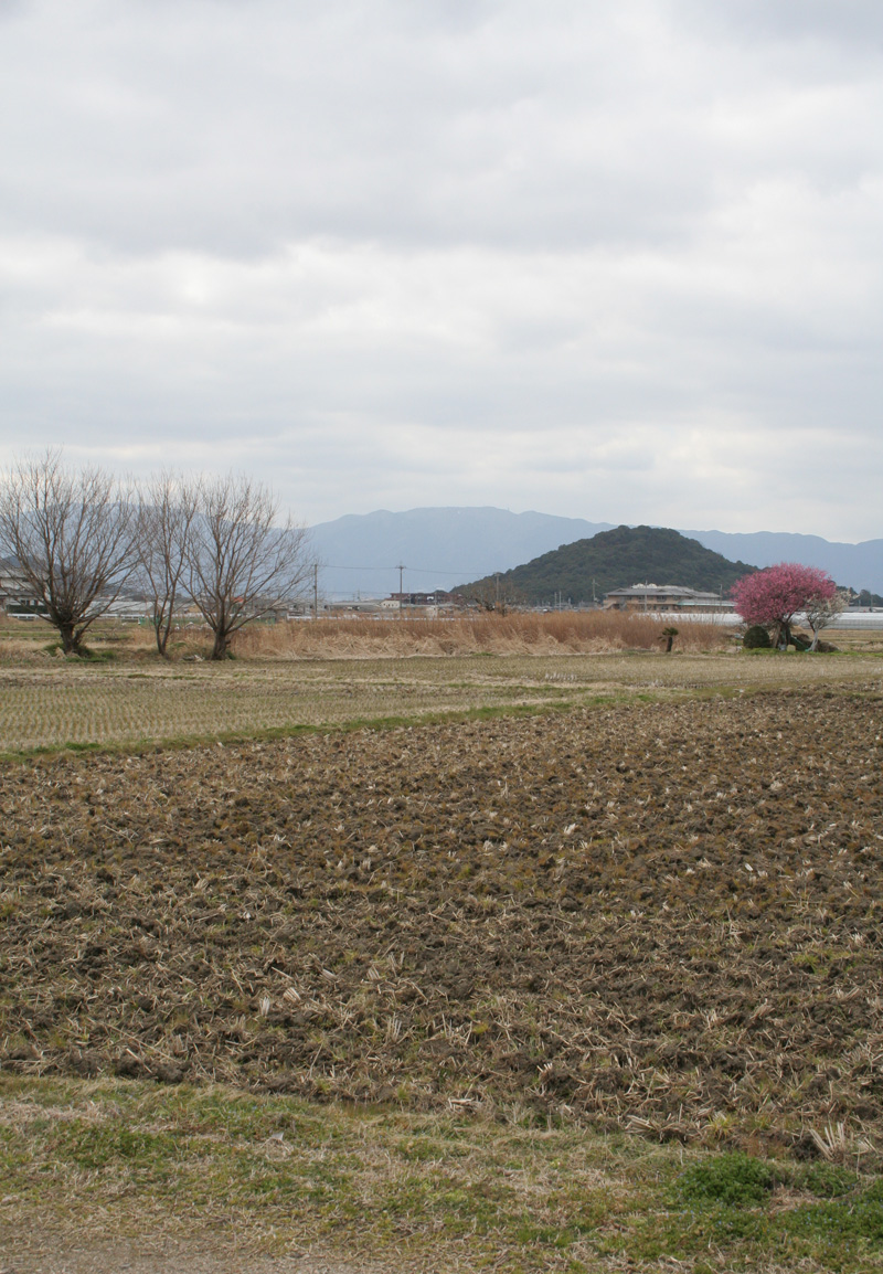 c0073633_2052472.jpg