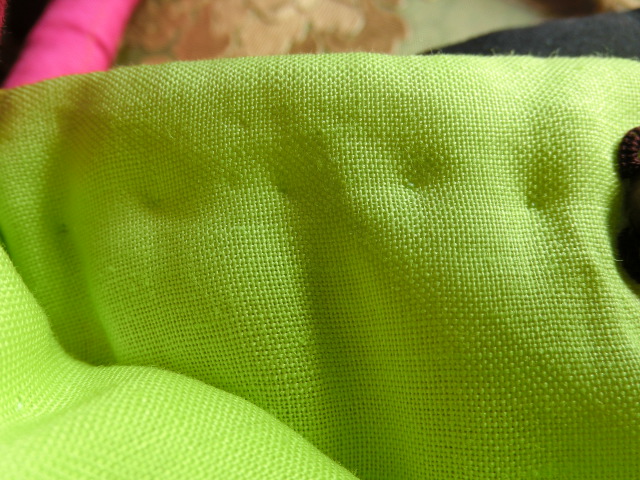 a0157135_10271427.jpg