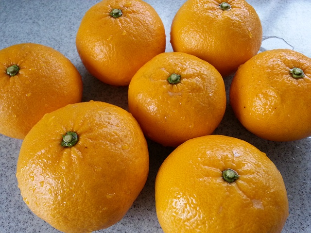 f0131535_13141343.jpg