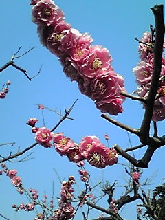 b0200747_1843675.jpg